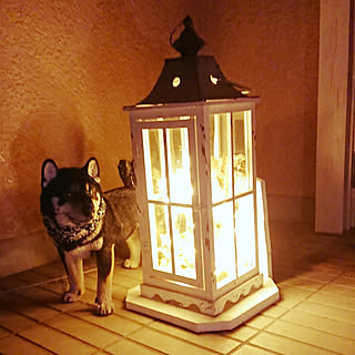 玄関/入り口/黒く塗りました/コメントお気遣いなく♡/世界にひとつだけ/身代り番犬...などのインテリア実例 - 2018-07-20 20:12:24