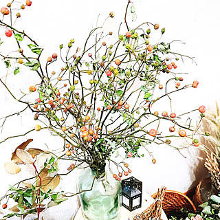 ノイバラの実ドライのインテリア実例 Roomclip ルームクリップ