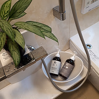 バス/トイレ/バスルーム/スカルプD/スカルプDオーガニック/観葉植物...などのインテリア実例 - 2019-06-07 11:25:40