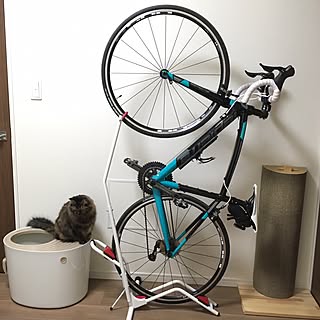 ロードバイク 猫のおしゃれなアレンジ 飾り方のインテリア実例 Roomclip ルームクリップ