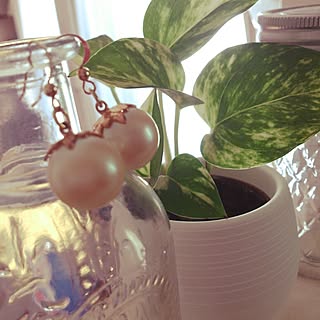 キッチン/accessory**。·*/handmade**。·*/セリア/アンティークパール...などのインテリア実例 - 2014-10-09 11:40:37