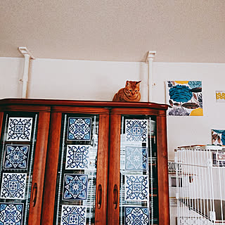 リビング/二世帯住宅/築19年/ウサギと暮らす/いぬと暮らす...などのインテリア実例 - 2020-01-23 01:10:54