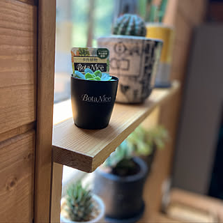 窓 Bessのインテリア実例 Roomclip ルームクリップ