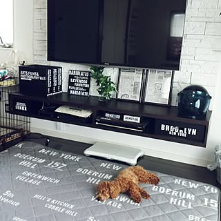 しまむらラグ 犬と暮らす家のインテリア実例 Roomclip ルームクリップ