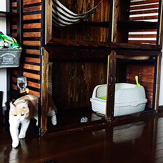 猫ケージdiyのインテリア 手作りの実例 Roomclip ルームクリップ