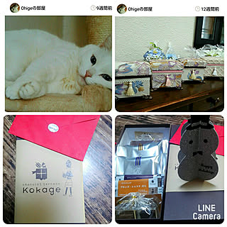 六つ子同好会/RCの皆さんに(*´︶`*)ฅ♡感謝/ohigeちゃんありがとう♥のインテリア実例 - 2018-12-20 05:27:00