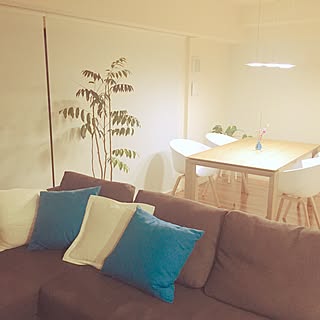 部屋全体/シンプルのインテリア実例 - 2016-02-20 23:04:23