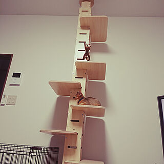 猫と暮らす キャットタワー突っ張りのインテリア実例 Roomclip ルームクリップ