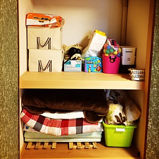 女性の、、家族住まいの「棚」についてのインテリア実例