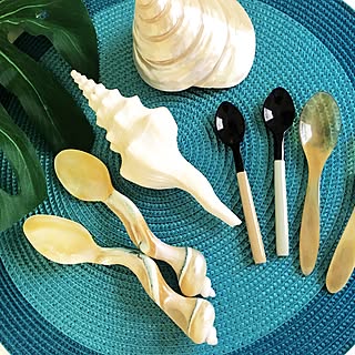 机/水牛の角スプーン/貝のスプーン/南の島で買って来た❤️/ミガキナガニシ貝...などのインテリア実例 - 2016-06-21 21:06:25