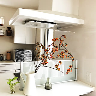 キッチン/キッチン/クリナップ/クリナップ クリーンレディ/北欧インテリア...などのインテリア実例 - 2017-12-08 19:01:37