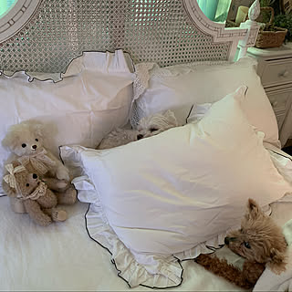 Francfranc フランフラン ベッド 枕はたくさんじゃなきゃダメのまとめページ Roomclip ルームクリップ