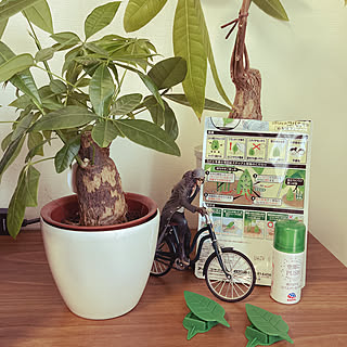 パキラ フィギュアのある風景のインテリア実例 Roomclip ルームクリップ