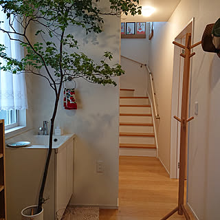 フェイラーのインテリア実例 Roomclip ルームクリップ フェイラーのインテリア実例 Roomclip ルームクリップ