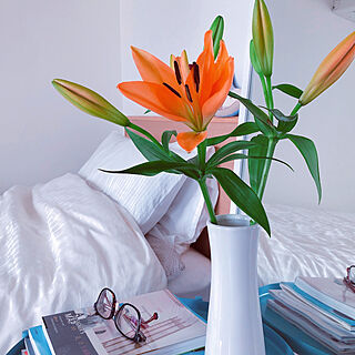 白いベッド/白い花瓶/花のある暮らし/オレンジの百合/百合...などのインテリア実例 - 2020-07-05 21:52:40