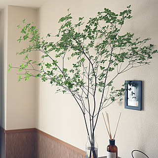 ドウダンツツジ 香りのある暮らしのインテリア実例 Roomclip ルームクリップ