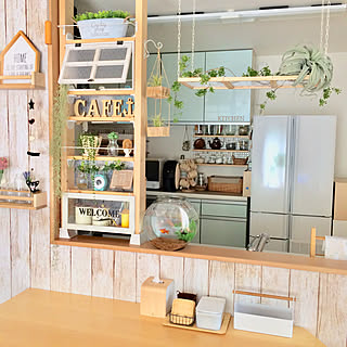 100均 金魚鉢のインテリア実例 Roomclip ルームクリップ 100均 金魚鉢のインテリア実例 Roomclip ルームクリップ