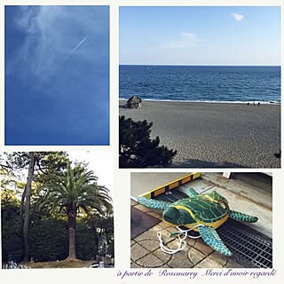 ベッド周り/砂浜/亀さん/空/海/癒やし...などのインテリア実例 - 2017-03-12 19:40:21