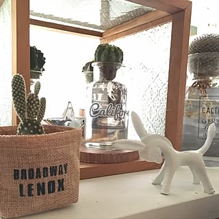 棚/cactus club⇔C.C☺︎/サボテンクラブ☺︎/大人西海岸風スタイル/出窓ディスプレイ...などのインテリア実例 - 2016-08-30 16:04:52