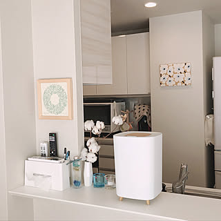 加湿器/エルズヒュミディファイアー/北欧/ホワイトインテリア/マンション...などのインテリア実例 - 2020-01-21 15:04:31