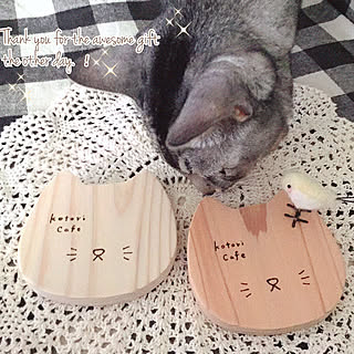 ベッド周り/毛むくじゃらのゆきさん/猫と暮らす/猫のコースター/素敵な素敵便♡...などのインテリア実例 - 2018-11-10 16:02:09