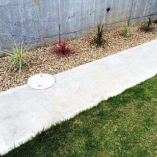 南国風の庭のインテリア実例 Roomclip ルームクリップ