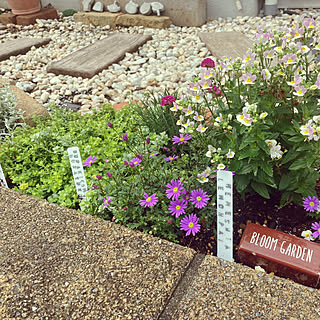 ダイソー ネームタグのまとめページ Roomclip ルームクリップ