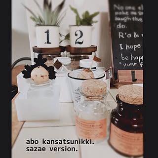 ダイソー 波平がサザエさんのカツラを のまとめページ Roomclip ルームクリップ