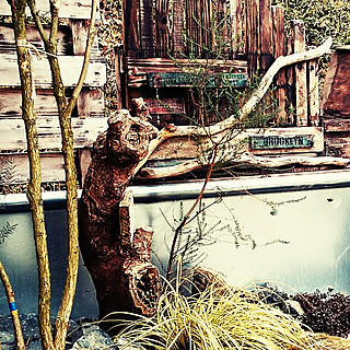 木の枝/レトロ/グリーン/ジャンク/男前...などのインテリア実例 - 2020-02-24 06:50:45