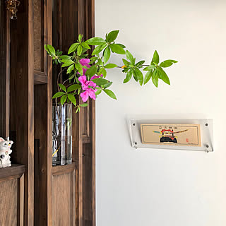 ダイソー 招き猫のインテリア実例 Roomclip ルームクリップ