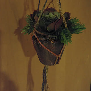 壁/天井/ザッパなO型/写真うまく撮れない/みんなの作品に刺激ウケてます♡/いつもいいねをありがとうございます♡...などのインテリア実例 - 2017-09-19 23:22:32