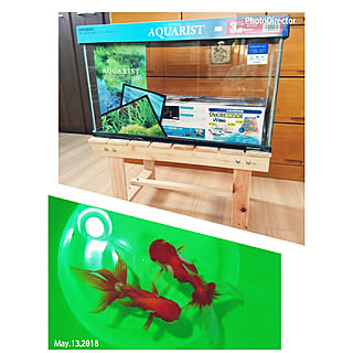 金魚 60cm水槽のインテリア実例 Roomclip ルームクリップ