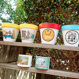 リメイク鉢 素焼き鉢のインテリア実例 Roomclip ルームクリップ