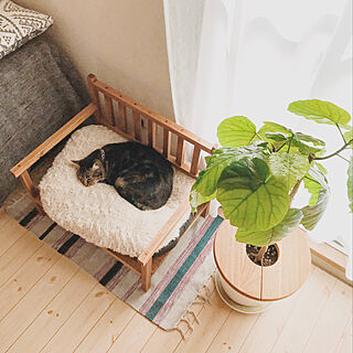 リビング 猫ベッド手作りのインテリア実例 Roomclip ルームクリップ