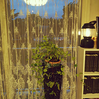 部屋全体/夜の窓辺の風景/いいね!ありがとうございます♪/フォローすごく嬉しいです♡のインテリア実例 - 2018-06-20 19:28:44