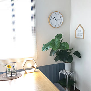 ニトリ 照明/ウンベラータ/おうちモチーフ/NO GREEN NO LIFE/ニトリ♡...などのインテリア実例 - 2019-07-01 11:11:44