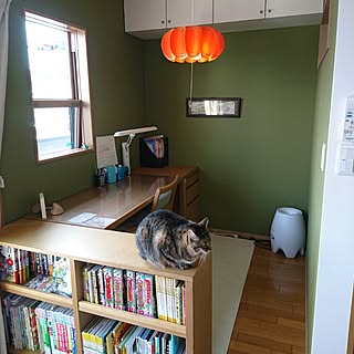 MANATSU - 部屋全体/一人部屋/模様替え/勉強部屋/勉強机/雑誌入れ のインテリア実例MANATSU - 部屋全体/一人部屋/模様替え/勉強部屋/勉強机/雑誌入れ のインテリア実例