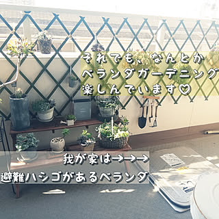避難はしごのインテリア実例 Roomclip ルームクリップ