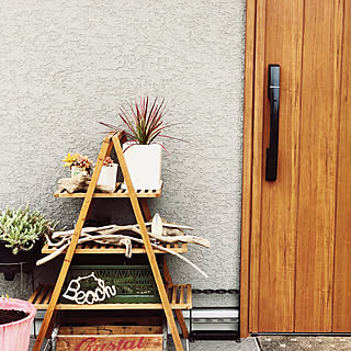 流木 玄関前のインテリア実例 Roomclip ルームクリップ