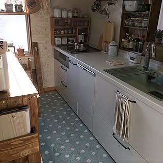 キッチン/ホーローキャニスター/お家グリーンコーナー/調味料棚DIY/DIY棚...などのインテリア実例 - 2017-04-14 06:31:05
