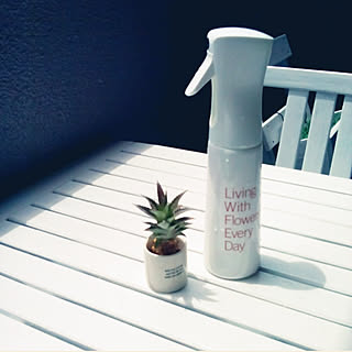 青山フラワーマーケット♥/ミスト♥/ミニパイン♥/Aoyama Flower Market/いいね♥700人感謝です♥...などのインテリア実例 - 2017-07-31 20:42:08
