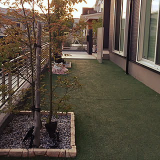 南向きの家のインテリア実例 Roomclip ルームクリップ