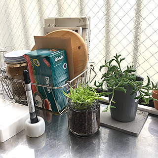 植物 キッチン 出窓のインテリア実例 Roomclip ルームクリップ