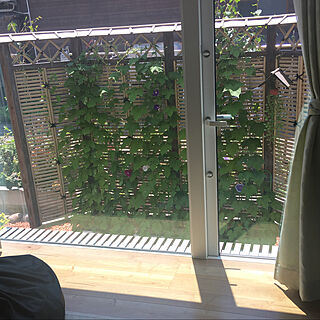 夏/日よけ/窓/庭/窓からの眺め...などのインテリア実例 - 2021-07-31 13:45:02