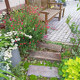 ガーデン メドーセージのおしゃれなインテリアコーディネート レイアウトの実例 Roomclip ルームクリップ