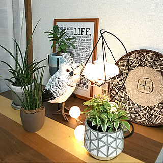 ファーンウッド ミカドのインテリア実例 Roomclip ルームクリップ