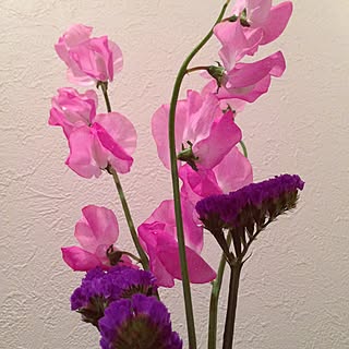 玄関/入り口/花のある暮らし/花/一人暮らし/シンプルに暮らすのインテリア実例 - 2015-03-28 17:04:49