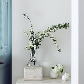 オオテマリのインテリア実例 Roomclip ルームクリップ