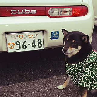 玄関/入り口/これだってRoomです/柴犬/黒柴/柴犬ばかりでスミマセン...などのインテリア実例 - 2017-11-14 13:24:09
