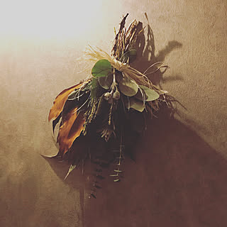 トイレの壁 スワッグのインテリア実例 Roomclip ルームクリップ